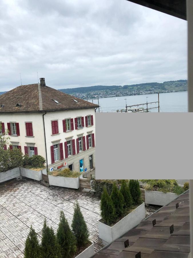 Wadenswil 3 Zimmer Wohnung Genau Beim Zurichsee Dış mekan fotoğraf